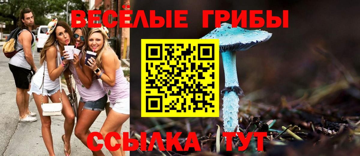 Псилоцибиновые грибы Psilocybine cubensis Новочебоксарск