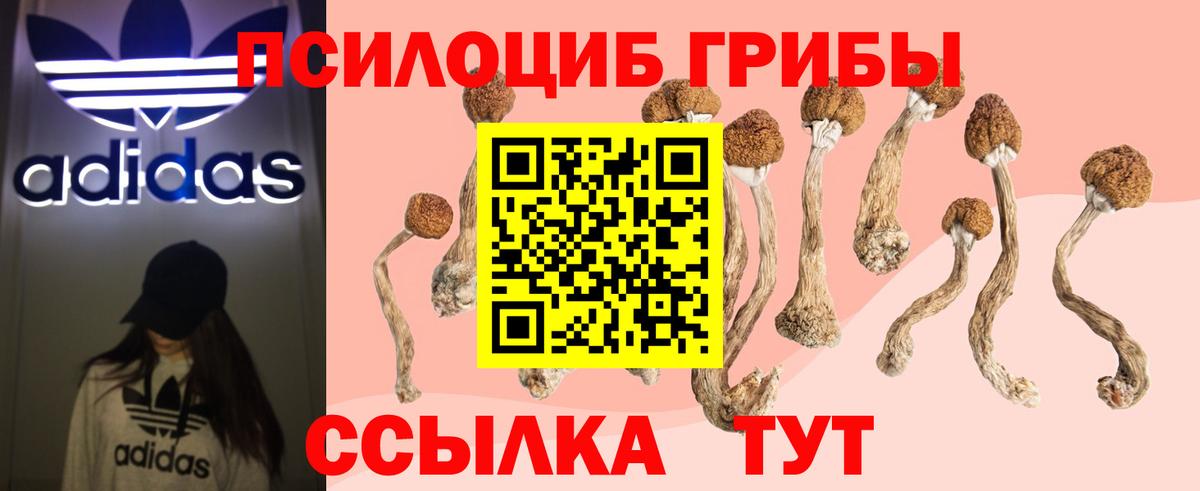Галлюциногенные грибы ЛСД  Псилоцибиновые грибы Magic Shrooms  продажа наркотиков  Вход с VPN  Новочебоксарск 